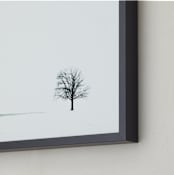 "Winter Tree" - Art Print in Snow by Robin Ott - Frame Close-up