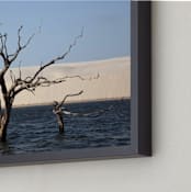 "Life cycle 1" - Art Print in Blue by Eliane Lamb - Frame Close-up