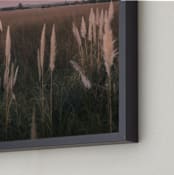 "Pampas grass" - Art Print in Sunset by Lucia Coppola - Frame Close-up