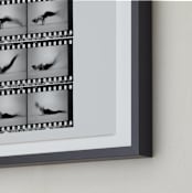 "The Worm in Motion" - Art Print in Vintage Grey by Kelsey Mucci - Frame Close-up