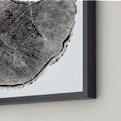 "Tree Rings pt. 1" - Art Print in Black by Mackenzie Darrach - Frame Close-up