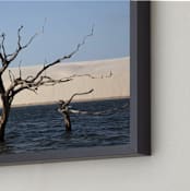 "Life cycle 1" - Art Print in Blue by Eliane Lamb - Frame Close-up
