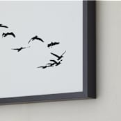 "Landing" - Art Print in Black & White by Neeta Sawhney - Frame Close-up