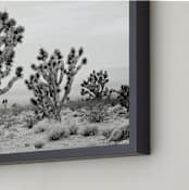 "Joshua Tree" - Art Print in joshua tree gray by Kristi Jackson - Frame Close-up