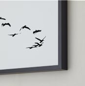 "Landing" - Art Print in Black & White by Neeta Sawhney - Frame Close-up