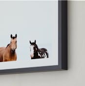 "The Three Amigos" - Art Print in Copper + Black by Amy Carroll - Frame Close-up