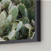 "A Cancun Cactus" - Art Print in Cactus Green by Kelsey McNatt - Frame Close-up
