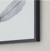"Light Grey Feather" - Art Print in feather light grey by Prittybird - Frame Close-up