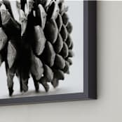"Pine Cone Black & White" - Art Print in Black and white by Alexis Arnold - Frame Close-up