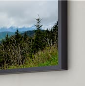 "The Forrest" - Art Print in The Forrest by Hannah Graham - Frame Close-up