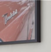 "Thunderbird" - Art Print in Peachy Rose by Tennie and Co. - Frame Close-up