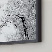 "Silent Storm" - Art Print in winter grey by Leslie Le Coq - Frame Close-up