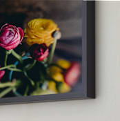 "Ranunculus 2" - Art Print in Canary by Keely Norton Owendoff - Frame Close-up