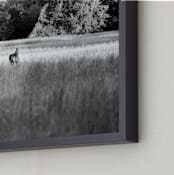 "Open Field" - Art Print in Black & White by Hannah Graham - Frame Close-up