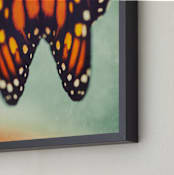 "Monarch Study #6" - Art Print in Monarch Orange by Stacy Kron - Frame Close-up