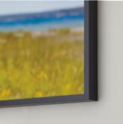 "Freshwater One" - Art Print in Goldenrod by Sarah Finkel - Frame Close-up