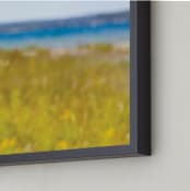 "Freshwater One" - Art Print in Goldenrod by Sarah Finkel - Frame Close-up