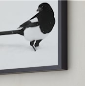 "Magpie" - Art Print in black bird by Leslie Le Coq - Frame Close-up