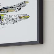 "Dragonfly Monotype" - Art Print in Black/Multi by Stephanie Toral - Frame Close-up