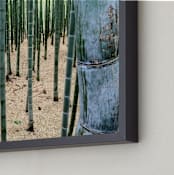 "Bamboo Garden" - Art Print in Bamboo by nathan glynn - Frame Close-up