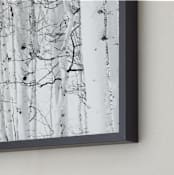 "Colorado Winter Pine" - Art Print in Black and White by Jake Belvin - Frame Close-up