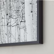 "Colorado Winter Pine" - Art Print in Black and White by Jake Belvin - Frame Close-up