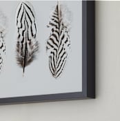 "Four Feathers" - Art Print in black by Shine Haus Collective - Frame Close-up