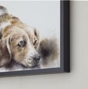 "A Gloomy Dog" - Art Print in Chocolate Brown by XL - Frame Close-up