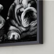 "Puppies" - Art Print in Graphite Gray by Jerry Winick - Frame Close-up