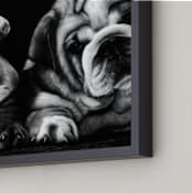 "Puppies" - Art Print in Graphite Gray by Jerry Winick - Frame Close-up