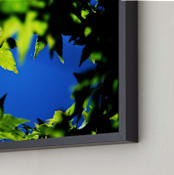 "It's a Beautiful Day" - Art Print in leafy green by Catherine Culvenor - Frame Close-up
