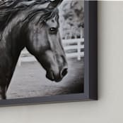 "Angelique" - Art Print in Black & White by Katrina Leandro - Frame Close-up