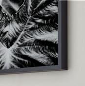 "Bold Leaf" - Art Print in Black by Alexis Arnold - Frame Close-up