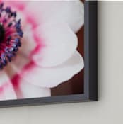 "Blushing Anemone" - Art Print in Blushing by Ilze Lucero - Frame Close-up