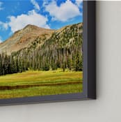 "Into the Meadows" - Art Print in Grassy Meadow by Brittany Bay - Frame Close-up