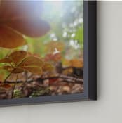 "Lost in the Redwoods" - Art Print in Red Clover by Kate Binns - Frame Close-up