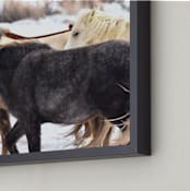 "Final Destination" - Art Print in Winter's Greys by Leslie Le Coq - Frame Close-up