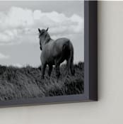 "Desert Dreamer" - Art Print in Black and White by Leslie Le Coq - Frame Close-up