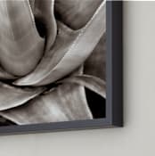 "Garden In Santaluz 01" - Art Print in sepia tone by GLEAUX Art Photo Design - Frame Close-up