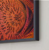 "Hula" - Art Print in Crazy Coral by Stacy Kron - Frame Close-up