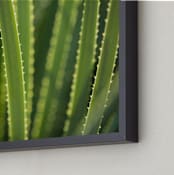 "That Glow" - Art Print in Aloe Green by Owl and Toad - Frame Close-up