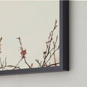 "Landing on Branches." - Art Print in Cream and Rust by Jennifer Alexander - Frame Close-up
