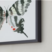 "Zebra Swallowtail" - Art Print in ebony by Betty Hatchett - Frame Close-up