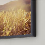 "River Warmth" - Art Print in Golden by Erin Niehenke - Frame Close-up
