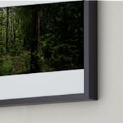 "Amazonian Jungle" - Art Print in Botanic Green by Arash Fattahi Acosta - Frame Close-up