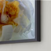 "Paeonia II" - Art Print in White by Kimberli Smith - Frame Close-up