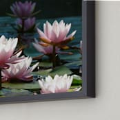 "Ode to Monet" - Art Print in Light pink by Kimberli Smith - Frame Close-up