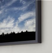 "Of Trees and Sky" - Art Print in blue by Carol Schiraldi - Frame Close-up
