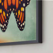 "Monarch Study #6" - Art Print in Monarch Orange by Stacy Kron - Frame Close-up