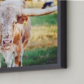 "Texas Longhorn" - Art Print in Longhorn Brown by Jessica Marchetti - Frame Close-up